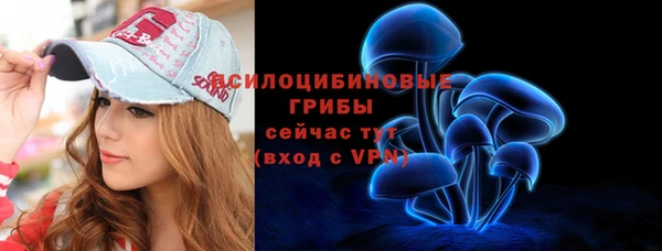 хмурый Ступино