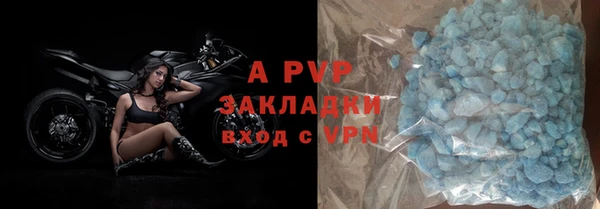 прущие грибы Пикалёво