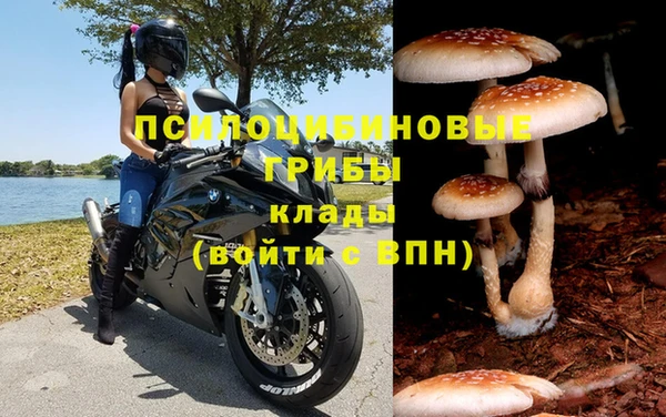 альфа пвп Струнино