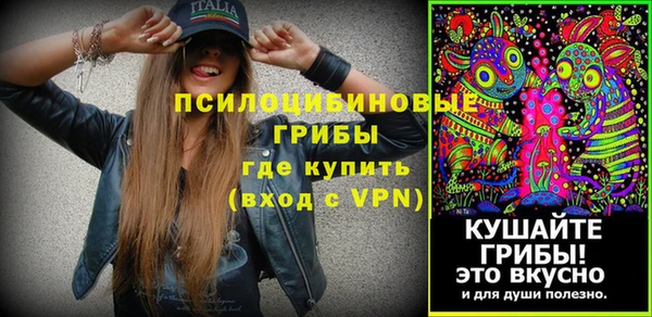 хмурый Ступино