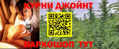 гидра Гусь-Хрустальный