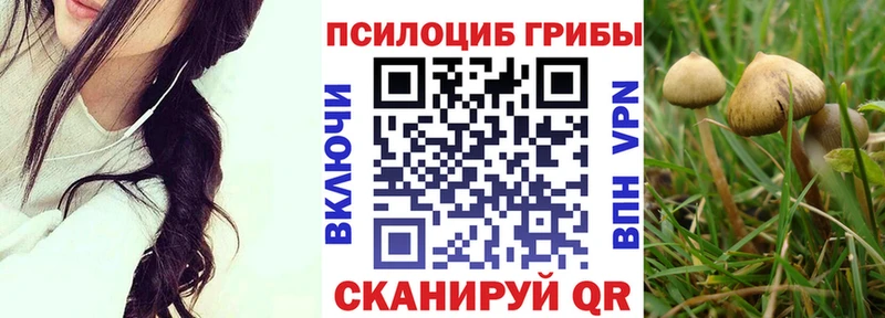 Галлюциногенные грибы прущие грибы  Ялта 