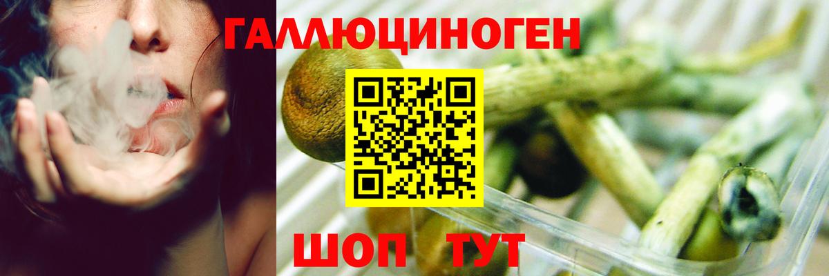 Галлюциногенные грибы прущие грибы  Псилоцибиновые грибы Psilocybe  Вход с VPN  Ялта 
